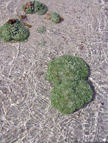 102-0261_IMG.jpg
