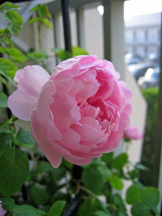 3d6445a8.jpg