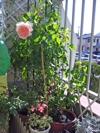 3f97d003.jpg