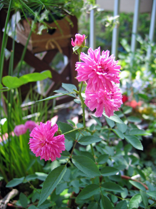 5d583fe5.jpg