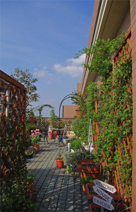 IMGP0580.jpg