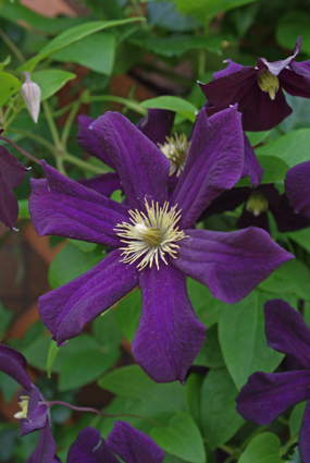 IMGP1275.jpg