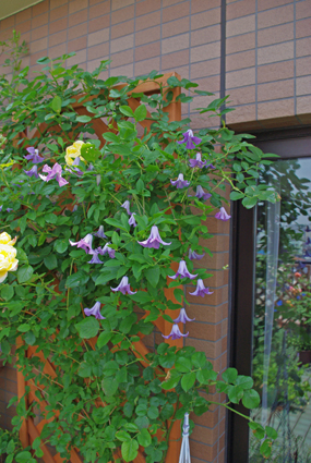 IMGP1279.jpg