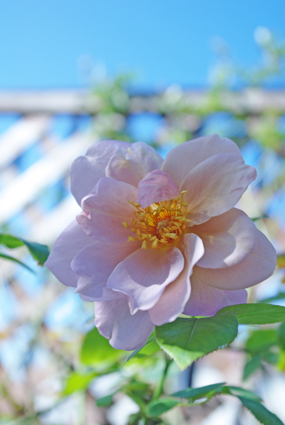 IMGP2807-1.jpg