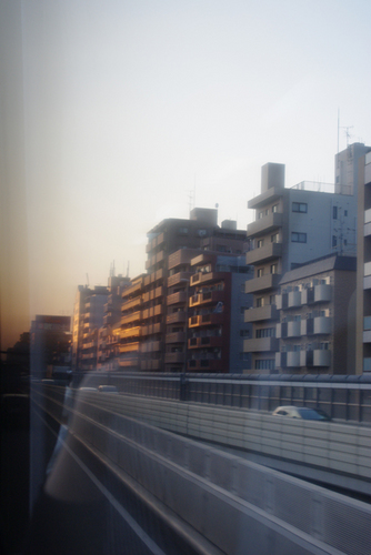 IMGP2944.jpg