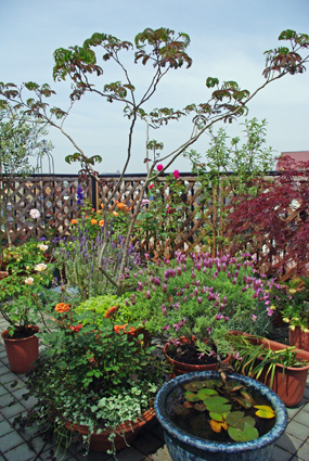 IMGP3541.jpg