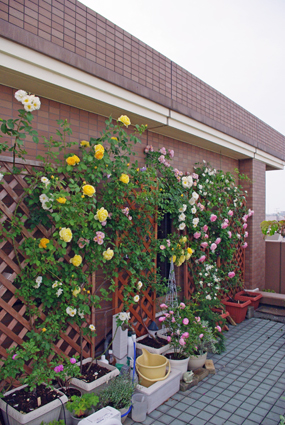 IMGP3542.jpg