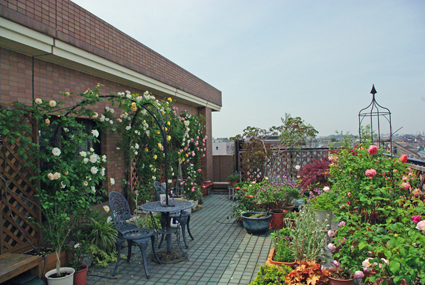 IMGP3543.jpg