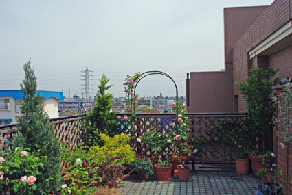 IMGP3545.jpg