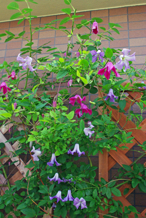 IMGP3587.jpg