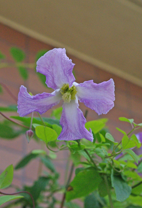 IMGP3604.jpg