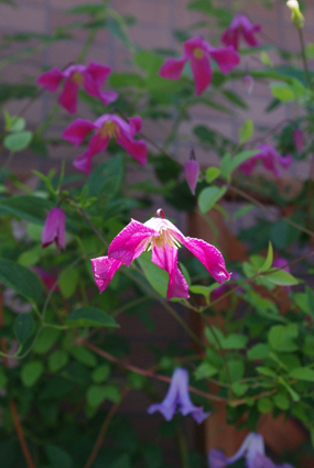 IMGP3638.jpg