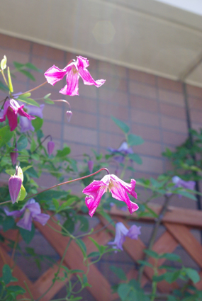 IMGP3639.jpg