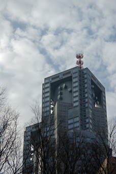 IMGP4449.jpg