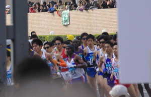 IMGP4463.jpg
