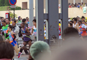 IMGP4464.jpg
