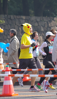 IMGP4481.jpg