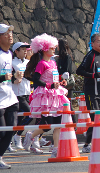 IMGP4483.jpg