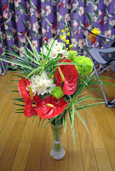IMGP4989.jpg