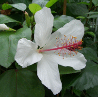 img10062693824.gif